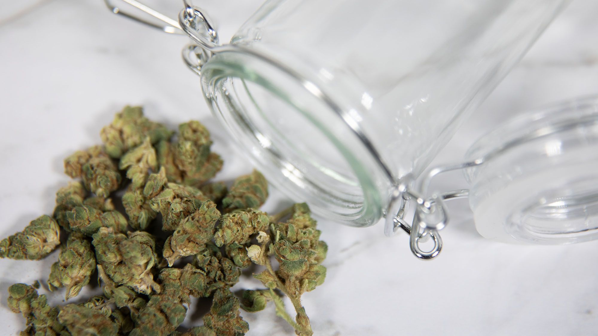 Navigating Cannabis Delivery: What You Need to Know